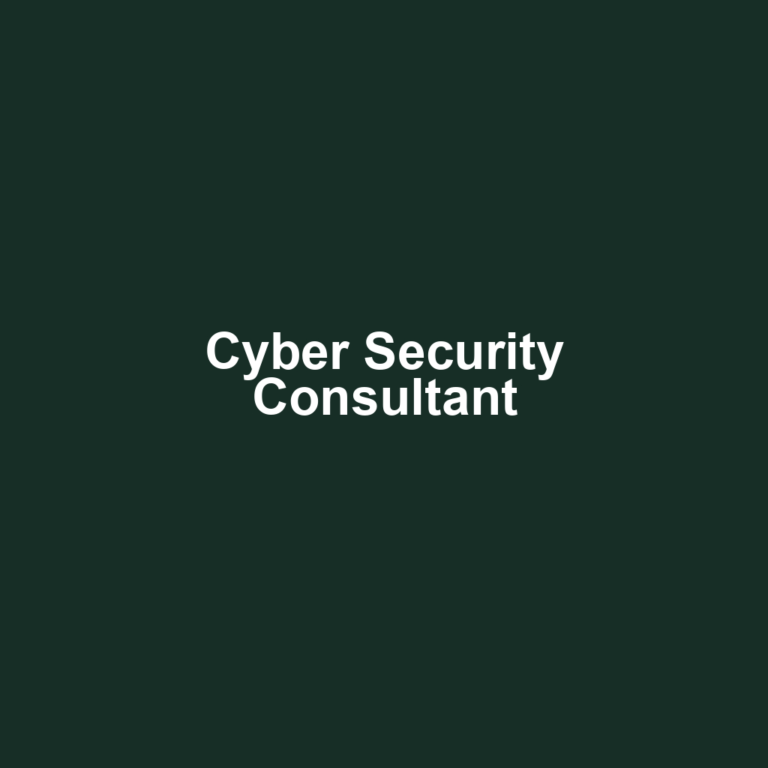 Cyber Security Consultant