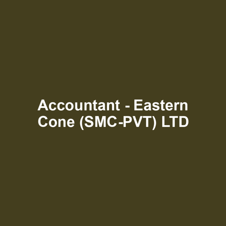 Accountant - Eastern Cone (SMC-PVT) LTD