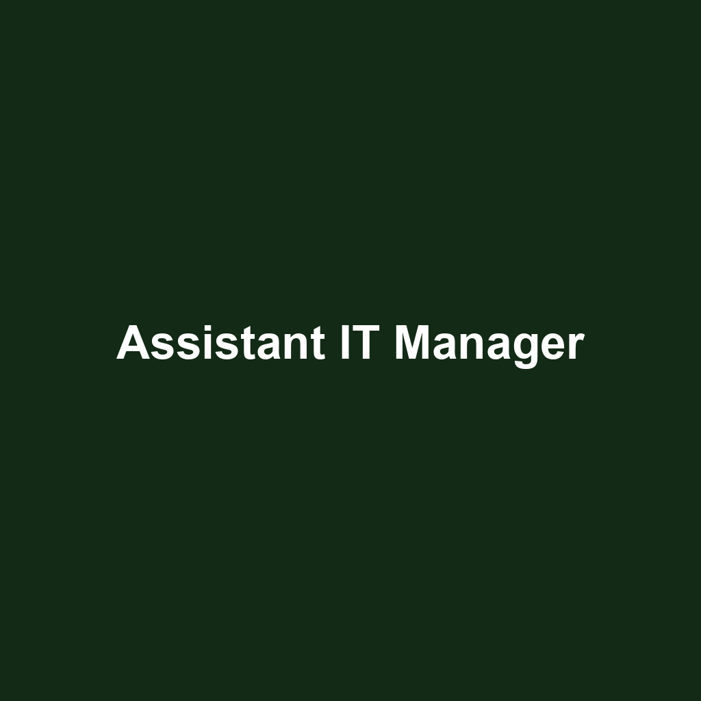 Assistant IT Manager