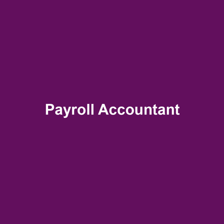 Payroll Accountant