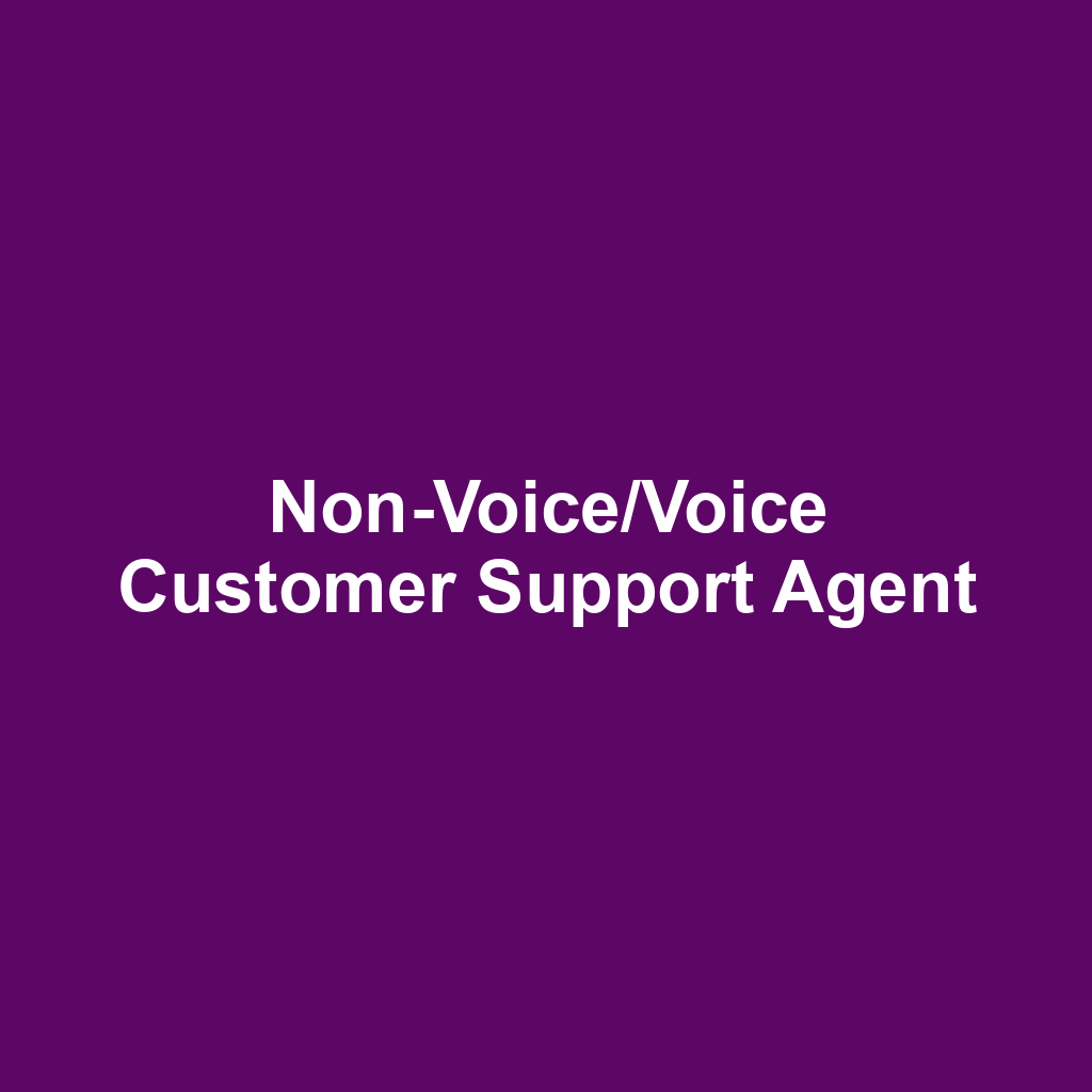 Non-Voice/Voice Customer Support Agent