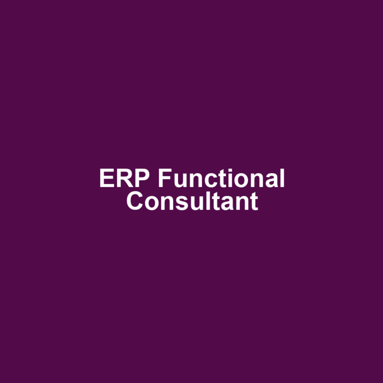 ERP Functional Consultant