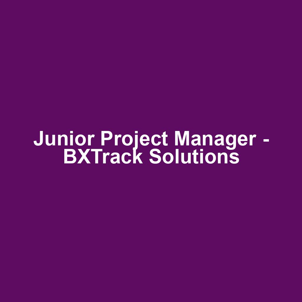 Junior Project Manager - BXTrack Solutions