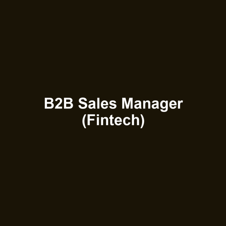 B2B Sales Manager (Fintech)