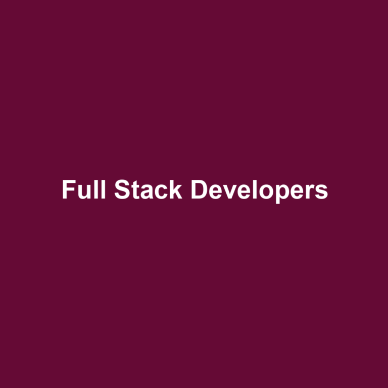 Full Stack Developers