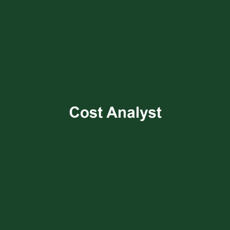 Cost Analyst