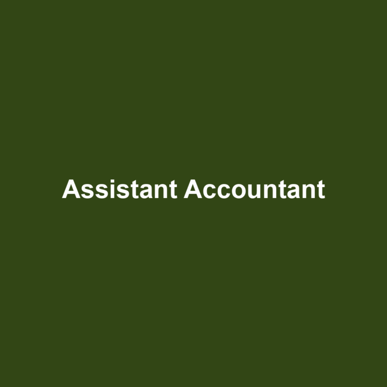 Assistant Accountant