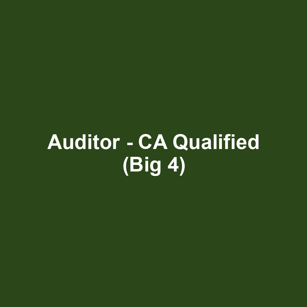 Auditor - CA Qualified (Big 4)