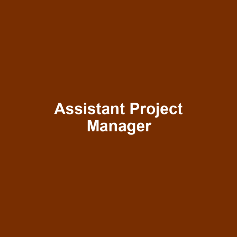 Assistant Project Manager