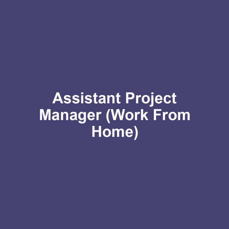 Assistant Project Manager (Work From Home)