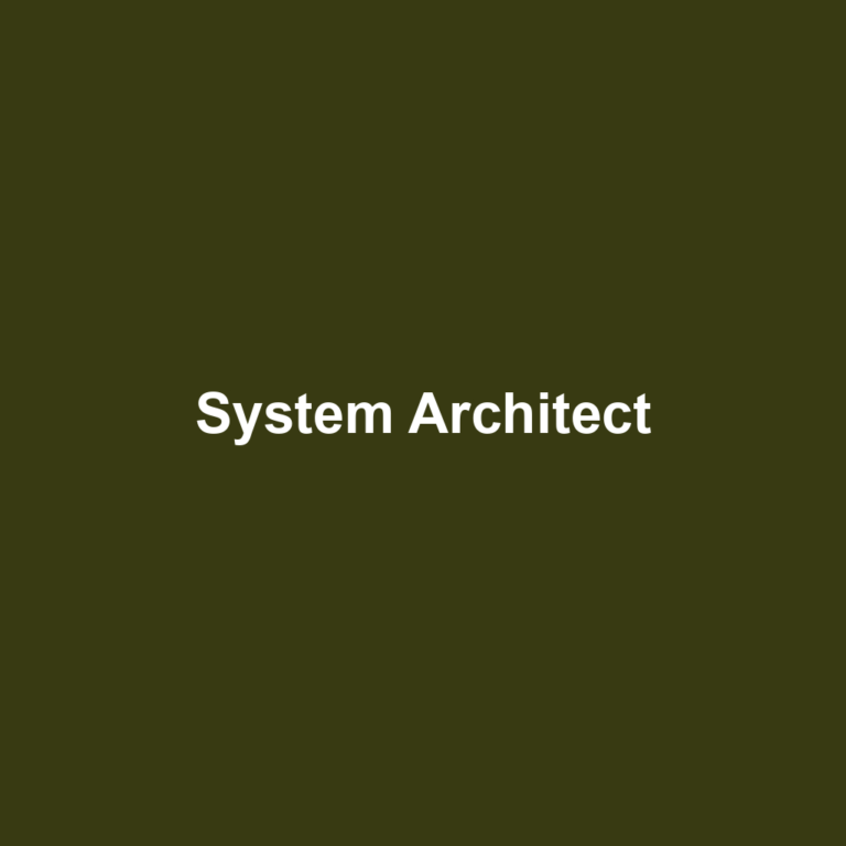 System Architect