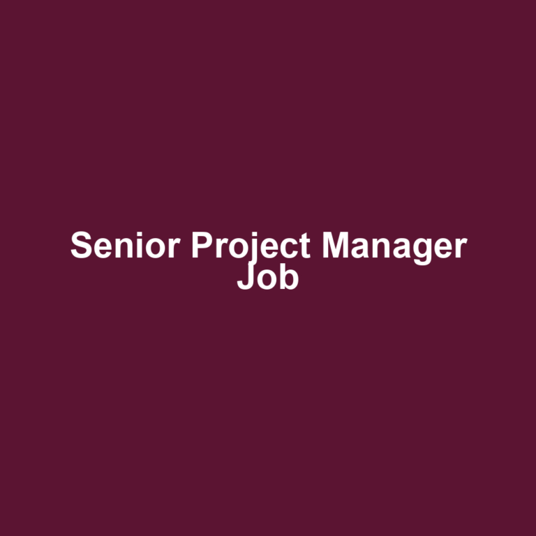 Senior Project Manager Job