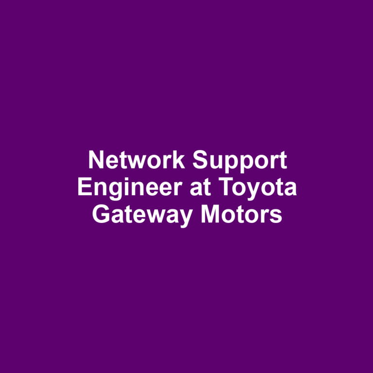 Network Support Engineer at Toyota Gateway Motors