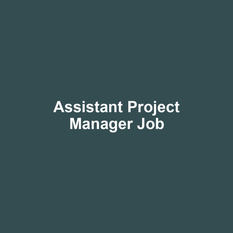 Assistant Project Manager Job